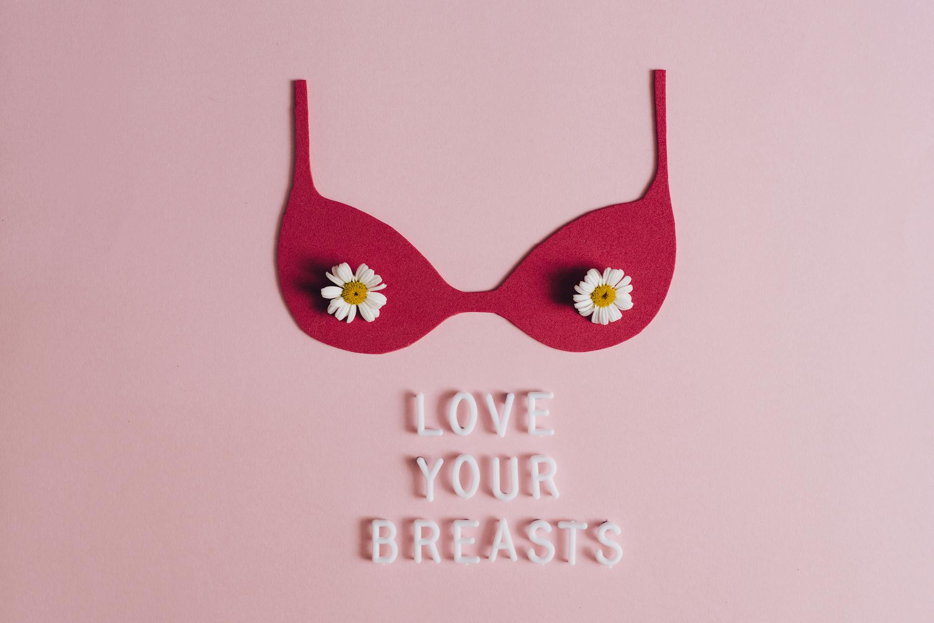 a brassiere cutout on a pink surface